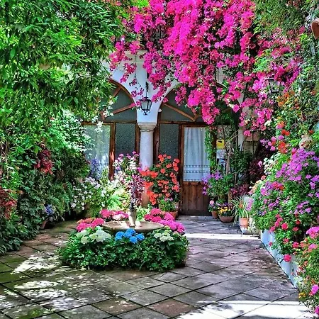 Lejlighed Premium! Jardines De Orive 1 *